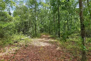 1504 NW 156th Ave, Gainesville, FL 32609 - Photo 67