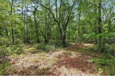 1504 NW 156th Avenue, Gainesville, FL 32609 - Photo 71