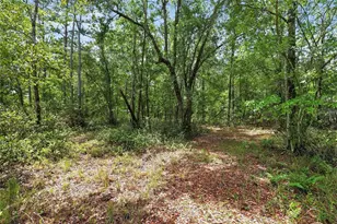 1504 NW 156th Ave, Gainesville, FL 32609 - Photo 71