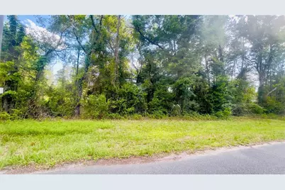 Lot 1 NE 66th Ln, Bronson, FL 32621 - Photo 3