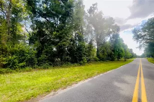 Lot 1 NE 66th Ln, Bronson, FL 32621 - Photo 1