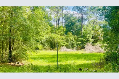 Lot 1 NE 66th Ln, Bronson, FL 32621 - Photo 5