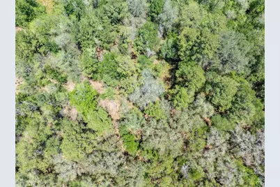 Lot 46 SW Roanoke Terrace, Fort White, FL 32038 - Photo 9
