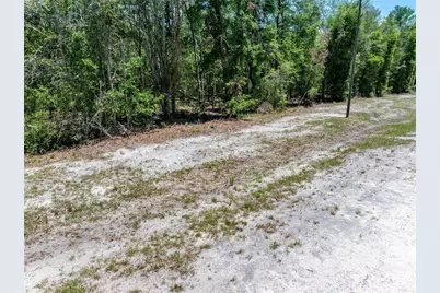 Lot 46 SW Roanoke Terrace, Fort White, FL 32038 - Photo 15