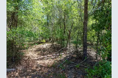 Lot 46 SW Roanoke Terrace, Fort White, FL 32038 - Photo 17