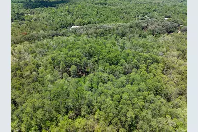 Lot 46 SW Roanoke Terrace, Fort White, FL 32038 - Photo 13