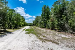 Lot 46 SW Roanoke Terrace, Fort White, FL 32038 - Photo 1