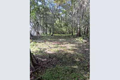 704 SE 791st Street, Old Town, FL 32680 - Photo 55