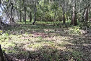 704 SE 791st St, Old Town, FL 32680 - Photo 55