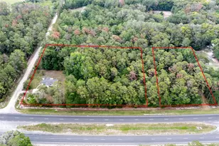 16913 NE 77th Ln, Hawthorne, FL 32640 - Photo 3