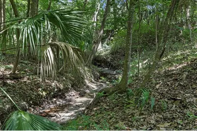 1915 NW 16th Avenue, Gainesville, FL 32605 - Photo 37