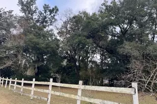13730 NW 140th St, Alachua, FL 32615 - Photo 5