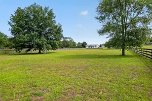 13009 NW 123rd Pl, Alachua, FL 32615 - Photo 39