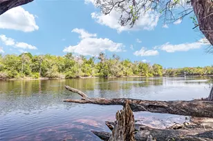 7870 SW 25th Pl, Bell, FL 32619 - Photo 49