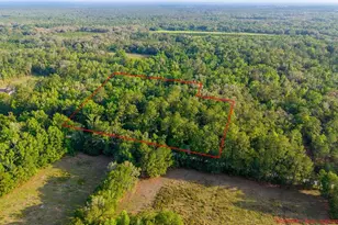 1708 NW 230th Pl, Brooker, FL 32622 - Photo 39