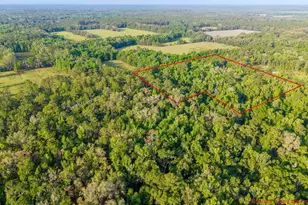 1708 NW 230th Pl, Brooker, FL 32622 - Photo 21
