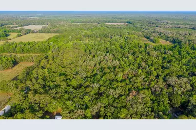 1708 NW 230th Place, Brooker, FL 32622 - Photo 31