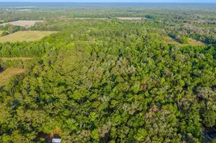 1708 NW 230th Pl, Brooker, FL 32622 - Photo 31