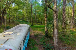 1708 NW 230th Pl, Brooker, FL 32622 - Photo 5