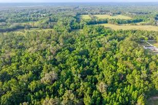 1708 NW 230th Pl, Brooker, FL 32622 - Photo 17