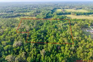 1708 NW 230th Pl, Brooker, FL 32622 - Photo 15