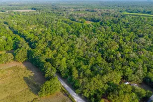 1708 NW 230th Pl, Brooker, FL 32622 - Photo 35