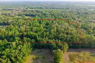1708 NW 230th Pl, Brooker, FL 32622 - Photo 41