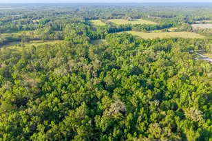 1708 NW 230th Pl, Brooker, FL 32622 - Photo 19
