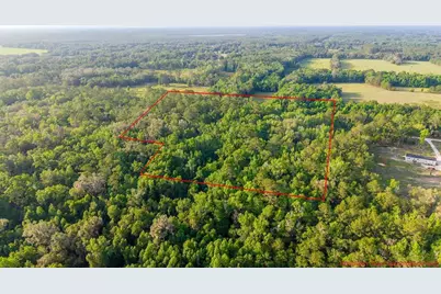 1708 NW 230th Place, Brooker, FL 32622 - Photo 13