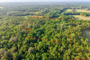 1708 NW 230th Pl, Brooker, FL 32622 - Photo 13
