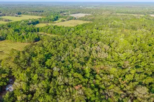 1708 NW 230th Pl, Brooker, FL 32622 - Photo 25