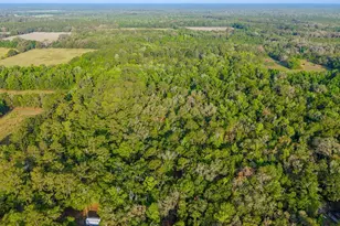 1708 NW 230th Pl, Brooker, FL 32622 - Photo 29