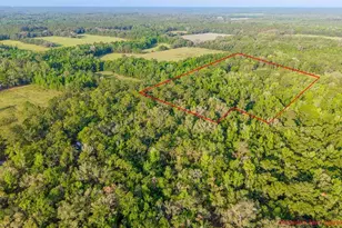 1708 NW 230th Pl, Brooker, FL 32622 - Photo 23