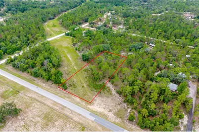 Tbd E Levy St, Lot 2, Williston, FL 32696 - Photo 5