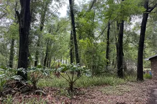221 SW 138th Terrace, Newberry, FL 32669 - Photo 11
