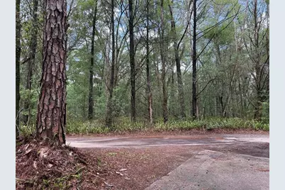 221 SW 138th Terrace, Newberry, FL 32669 - Photo 21