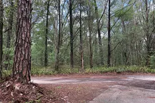 221 SW 138th Terrace, Newberry, FL 32669 - Photo 21