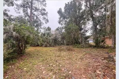407 NE 19th Drive, Gainesville, FL 32641 - Photo 3