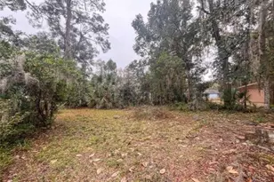407 NE 19th Dr, Gainesville, FL 32641 - Photo 3