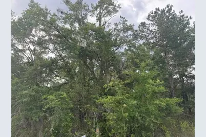 21902 NE 69th Place, Melrose, FL 32666 - Photo 3
