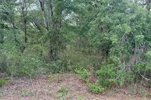 21902 NE 69th Pl, Melrose, FL 32666 - Photo 1