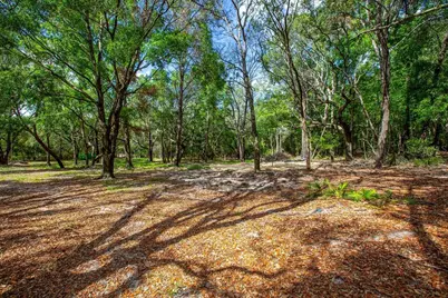 5350 SE 3rd Lane, Trenton, FL 32693 - Photo 1