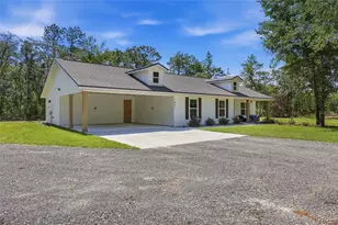 7451 NE 136 Ave, Williston, FL 32696 - Photo 3
