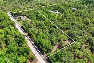 7451 NE 136 Ave, Williston, FL 32696 - Photo 37