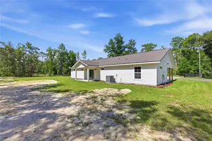 7451 NE 136 Ave, Williston, FL 32696 - Photo 23