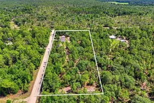 7451 NE 136 Ave, Williston, FL 32696 - Photo 39