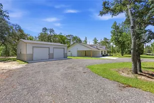 7451 NE 136 Ave, Williston, FL 32696 - Photo 25