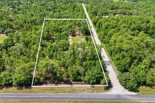 7451 NE 136 Ave, Williston, FL 32696 - Photo 35