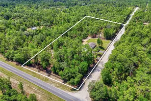 7451 NE 136 Ave, Williston, FL 32696 - Photo 33