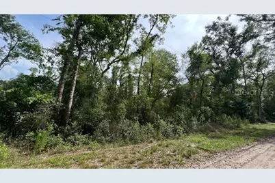 Sw Bumble Street, Fort White, FL 32038 - Photo 3